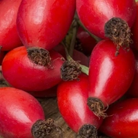 Rosehip Seed - Семена Шиповника